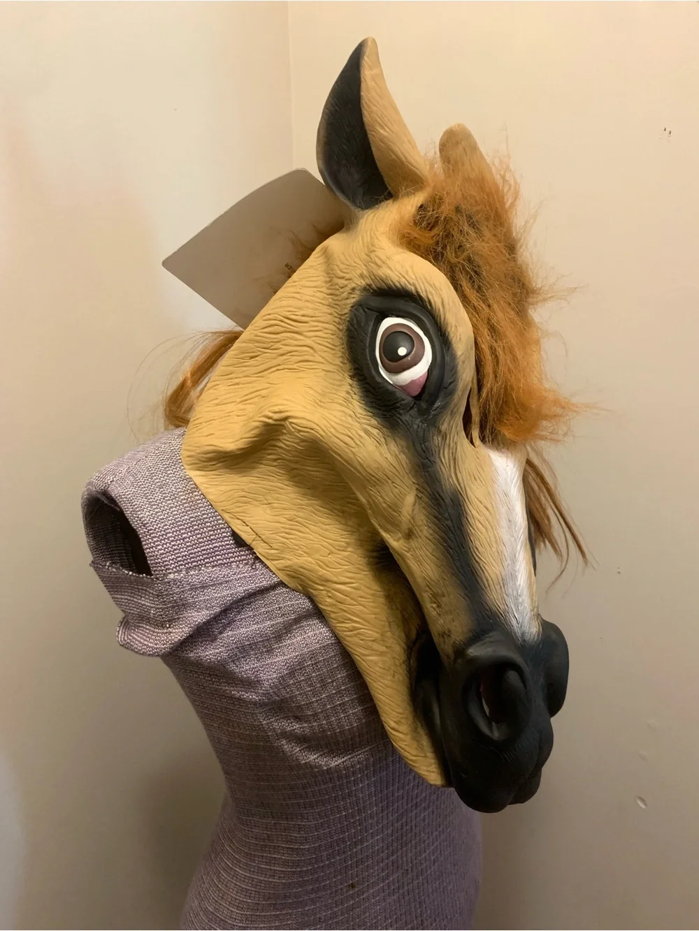 Horse mask